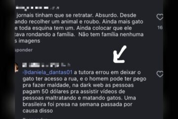 Suspeito de roubo de felino se defende e revela ameaças: “Meu objetivo era oferecer um lar