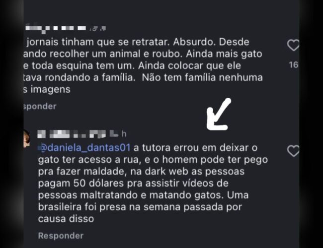 Suspeito de roubo de felino se defende e revela ameaças: “Meu objetivo era oferecer um lar