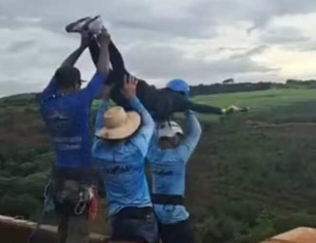 Criança envolvida em acidente com grupo de jovens meses antes da tragédia na ponte